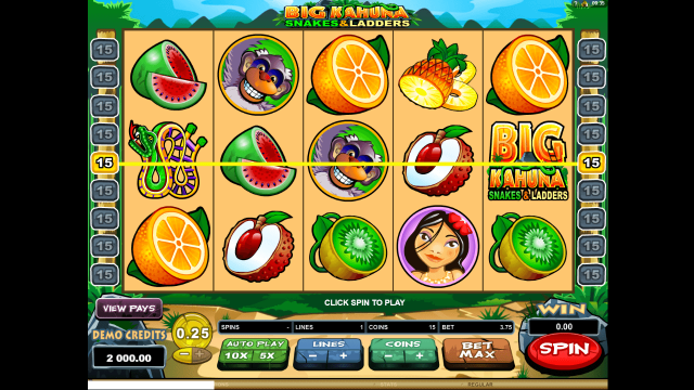 Big Kahuna Snakes And Ladders 2