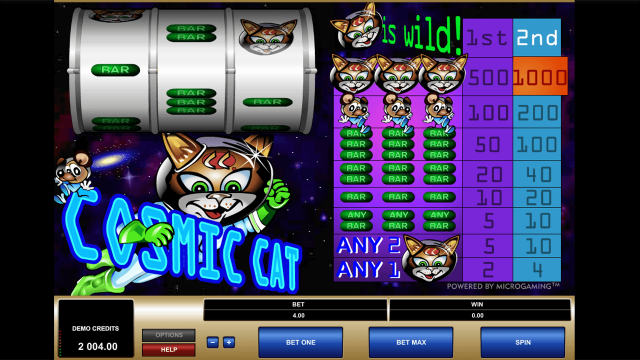 Cosmic Cat 5